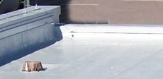 tpo roofing tacoma wa